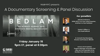 NAMI NYC BEDLAM Panel Discussion