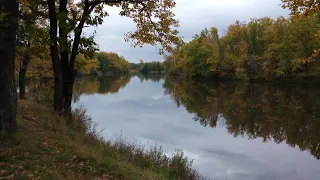 За Волгой. Новочебоксарск. Яблоки, грибы и осенняя прогулка. 26 сентября 2019г.