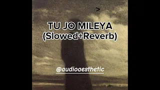 Tu Jo Mileya (Slowed+Reverb)"Juss X" Mix Singh|New Punjabi Song 2024|Jot Music