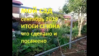 Мой садик в сентябре Садовый архив от 20.09.19  Отчет о проделанной работе