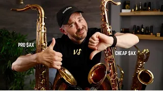 Cheap Tenor Sax on Amazon ($420) vs Pro Sax ($4600)