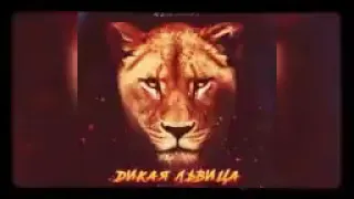 Alex and Rus дикая львица wild lioness With English Subtitles mubashir