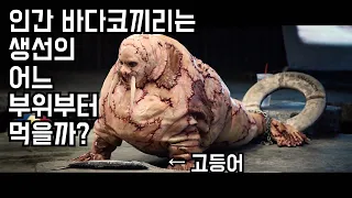 인간을 재료로 바다코끼리를 만드는 사람 [영화리뷰 결말포함]