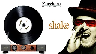 Zucchero - 05  Ahum - Shake  2001  ( il giradischi )