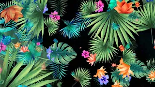 FREE DOWNLOAD - SUMMER - FALLING TROPICAL LEAVES / VJ LOOPS / MOTION GRAPHIC / BACKGROUND / FOOTAGE