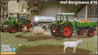 #FarmingSimulator22🔸Buying Goats & Sheep. Selling Red Wine & Grape Juice🔸#HofBergmann Ep.16🔸4K