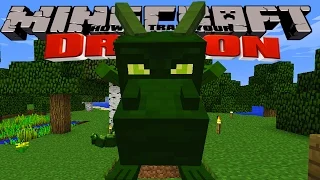 Minecraft - HOW TO TRAIN YOUR DRAGON - Our Dragons Grow Up [3]