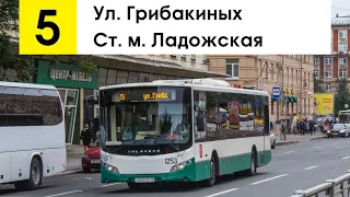 Автобус 5 "Ст. м. "Ладожская" - ул. Грибакиных" (смена перевозчика)