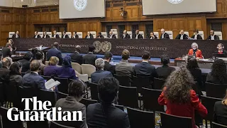 Iran and China among countries to address ICJ on Israel's occupation of Gaza – watch live