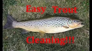 BEST way to clean Trout!  Fast and easy !!! This is the best method I have found so far!!!