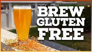 GLUTEN FREE BEER made easy! [+Pale Ale Recipe]