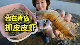 青岛抓七彩皮皮虾，赶海2小时能抓几只？一招教你轻松吃！| 青岛 | 皮皮虾 | 赶海 | 螃蟹 | 海鲜 | 山东 |