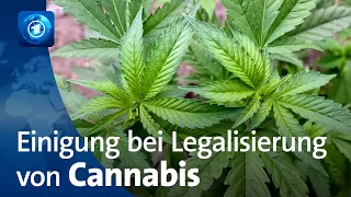 Cannabis-Legalisierung rückt näher