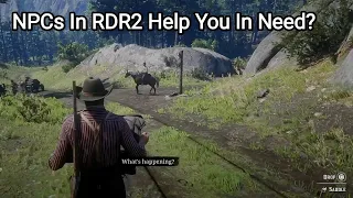 Asking an NPC for Help in RDR2 - Red Dead Redemption 2