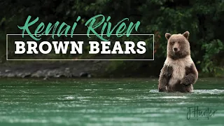 Wild Alaska: Kenai River Brown Bears