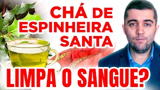 Efeitos incríveis da espinheira santa contra coágulos sanguíneos, má circulação, trombose e embolia