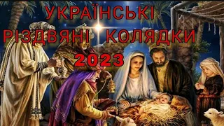 Різдвяні Колядки 🕊️ З Новим Роком та Різдвом Христовим 🌠#колядки2023 #різдво #бяка
