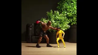 Bruce Lee VS Mike Tyson | Final version | Stop Motion