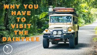 Cairns to Cape Trib Road Trip: Discovering Tropical North Queensland - An Unforgettable Journey