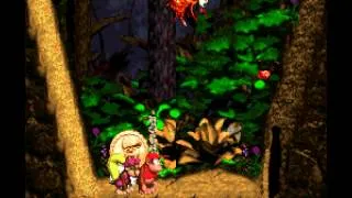 [TAS] [Obsoleted] SNES Donkey Kong Country 2: Diddy's Kong Quest "102%" by Comicalflop in 1:28:24.03