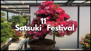 Bonsai Oni - CRESPI BONSAI 11° Satsuki Bonsai Festival