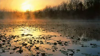 Днів земних минають роки,скільки їх було