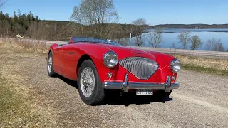 1954 Austin Healey 100 BN1 - Walkaround