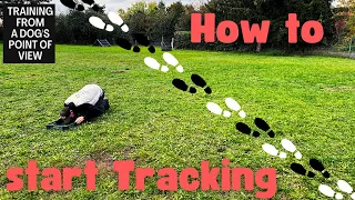 Dogtraining - How To Start Tracking With THIS Special Tool❓