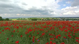 Wdzięczność za to, co już mamy..