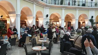 Flashmob: ›Halleluja‹ aus Händels Messias - Mediterraneo Bremerhaven 2018