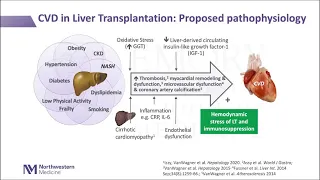 Cardiac Risk Optimization in Liver Transplantation: Where Are We in 2021?