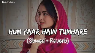 🎧Slowed and Reverb Songs | Mum Yaar Tumhare | RAJIB 801
