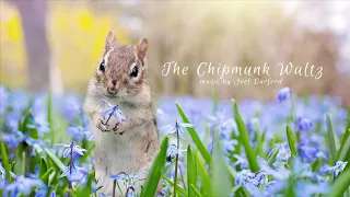 The Chipmunk Waltz