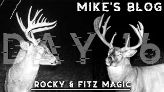 Hunting A Giant Buck On A Small Farm, 7.5 Year Old River Farm Stud | Mike's Blog