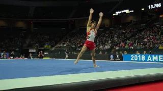 Kenzo Shirai (JPN) - Floor Exercise - 2018 American Cup