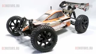 Видео обзор модели Maverick Desrtwolf от RCMOTORS.RU