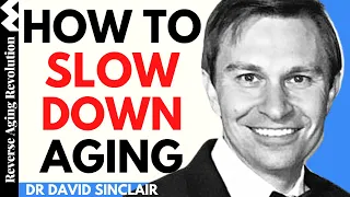 HOW TO SLOW DOWN AGING - The Easy & Not So Easy | Dr David Sinclair Interview Clips