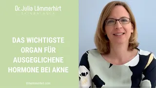 Das wichtigste Organ für ausgeglichene Hormone bei Akne