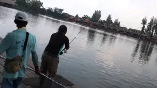 Karauzone Pian with Mekong Catfish at Bungsamran