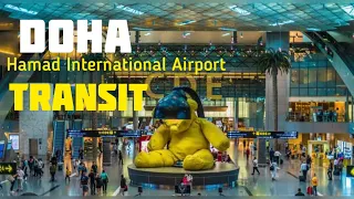 Doha Airport Transit | Doha Qatar Hamad International Airport | Flight transfer at Doha Airport