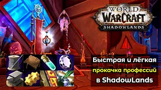 Быстрая и лёгкая прокачка профессий в World of Warcraft: ShadowLands