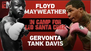 NEW: Floyd Mayweather & Gervonta Davis Training | ESNEWS BOXING