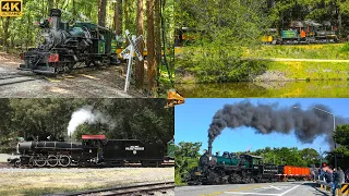 [4K] Steam Train Action in Northern California