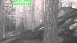 New Mexico thermal sasquatch video #1