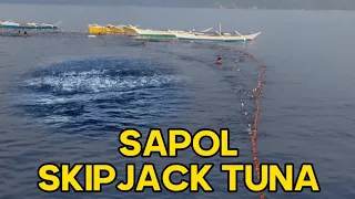 SAPOL SKIPJACK TUNA