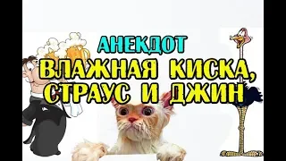 АНЕКДОТ ПРО ВЛАЖНУЮ КИСКУ И ДЛИННОНОГУЮ ЦЫПОЧКУ