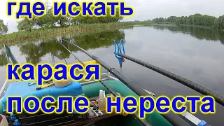 Где искать карася после нереста в пруду