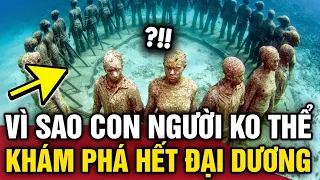 Vì sao khám phá ĐÁY ĐẠI DƯƠNG còn khó khăn và nguy hiểm hơn BAY VÀO VỤ TRỤ | Tin 3 Phút