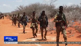 Dozens of pro-government fighters, al-Shabaab militants killed in clashes in Somalia