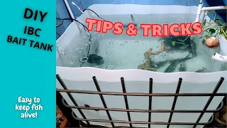 2024 DIY Bait Tank  Tips & Tricks (Why This Setup Works Best)